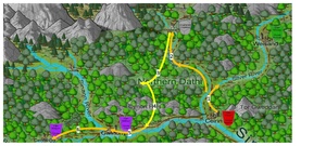 LS BrandsJourney.pdf