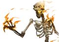Skeleton Flaming.jpg